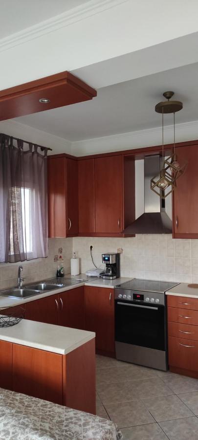 Διαμέρισμα Ιδανικό Για Εξορμήσεις Lejlighed Eleousa Eksteriør billede